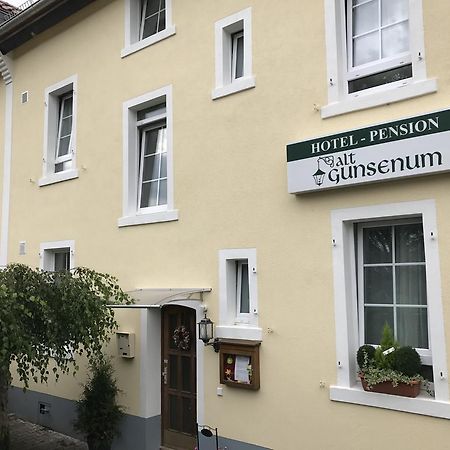 Pension Alt-Gunsenum Maguncia Exterior foto